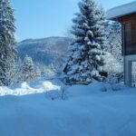 Winterspaß am Wimmergreuth