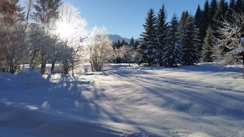 Winterspaß am Wimmergreuth